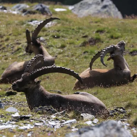 Wanderhotel Taurerwirt Kals am Grossglockner