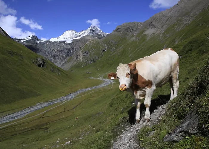 Wanderhotel Taurerwirt Hotel Kals am Grossglockner