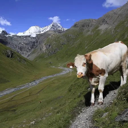 Wanderhotel Taurerwirt Otel Kals-am Großglockner