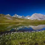 Отель Wanderhotel Taurerwirt
