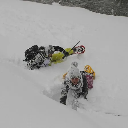 Hotel Wanderhotel Taurerwirt 4*